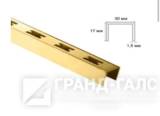 TZ-01 Профиль пристенный с перфорацией, 30*17, высота 2400 мм, золото